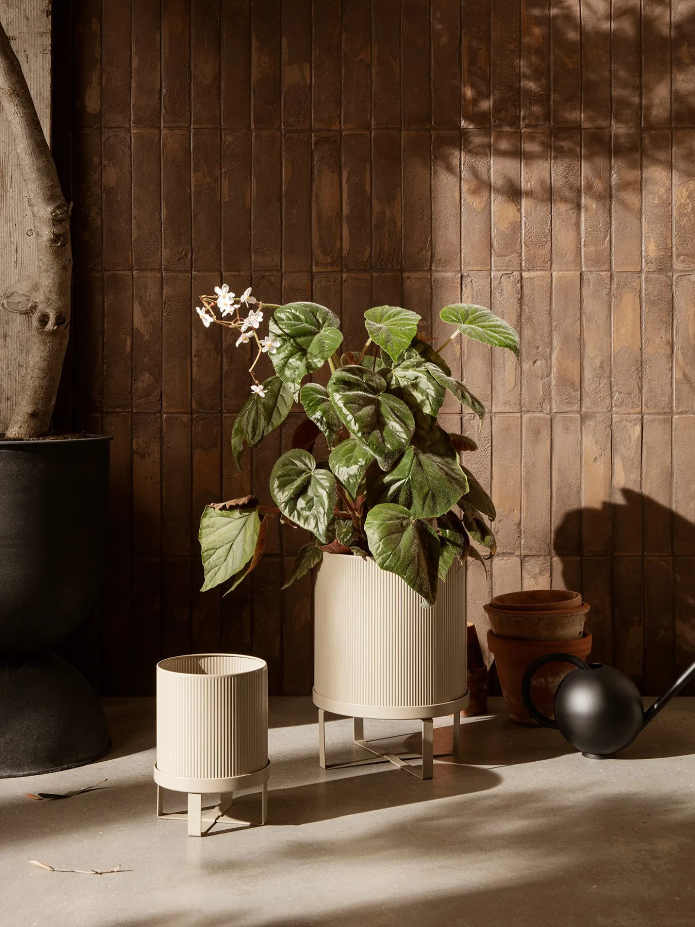 Bau Pot - Small
