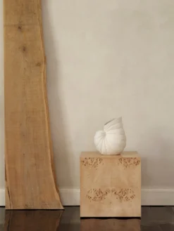 Burl Cube Side Table