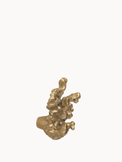 Comber Coral Branch Hook