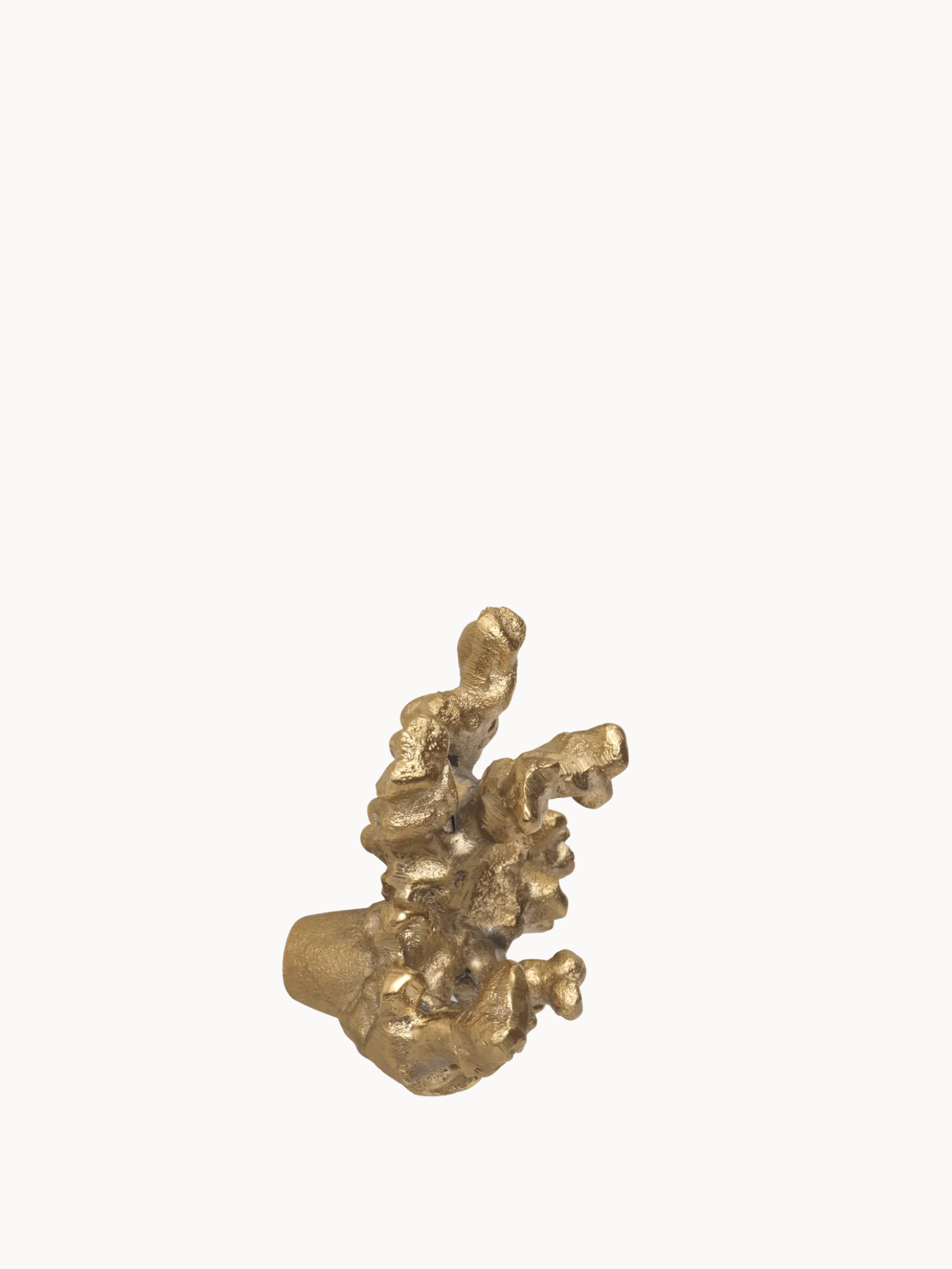 Comber Coral Branch Hook