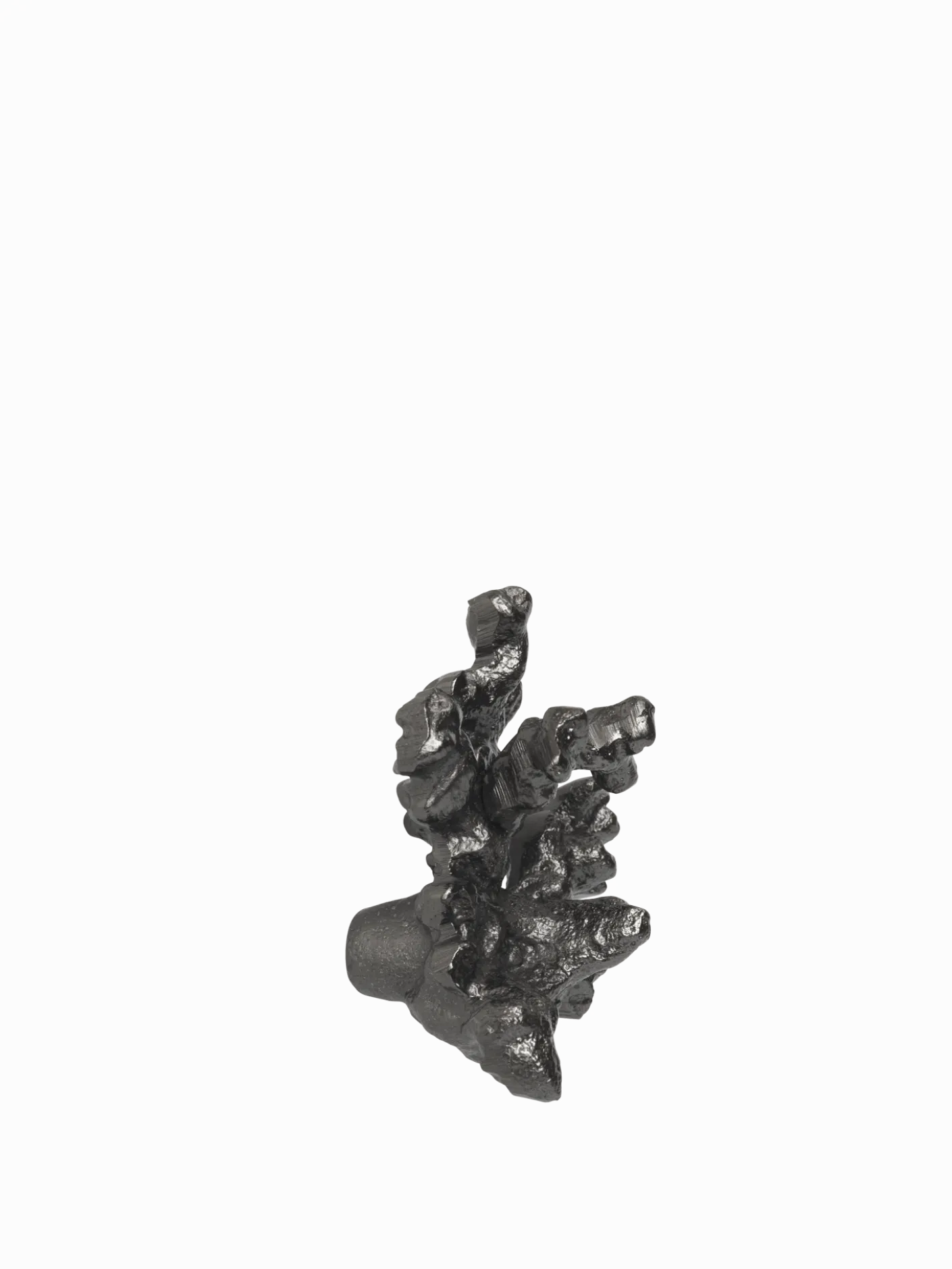 Comber Coral Branch Hook