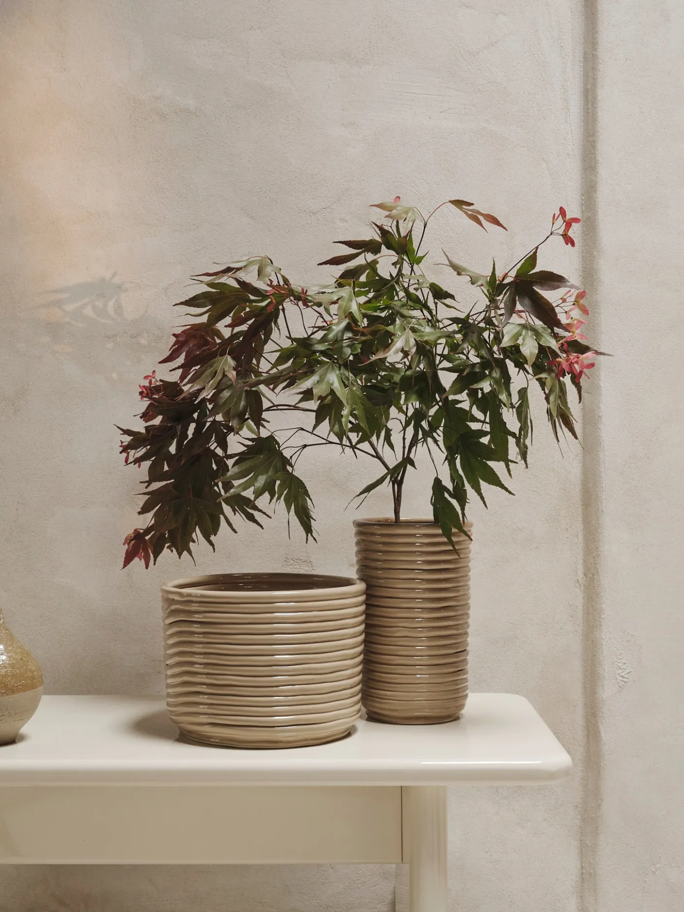 Corduroy Vase