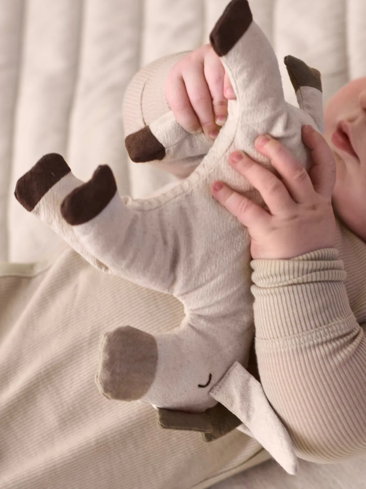 Donkey Soft Toy