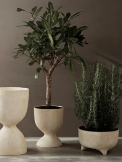 Evoke Pot - Low