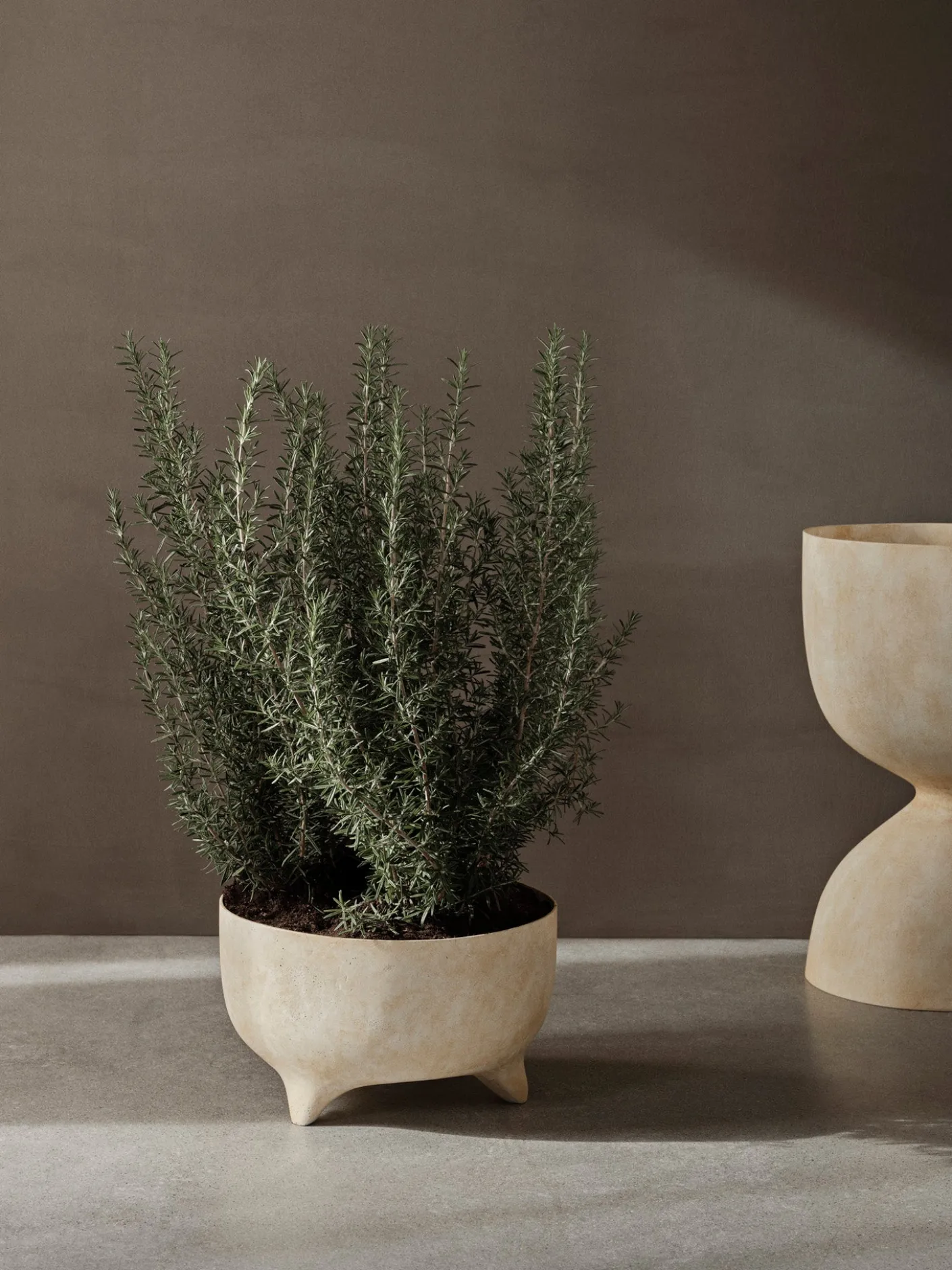 Evoke Pot - Low