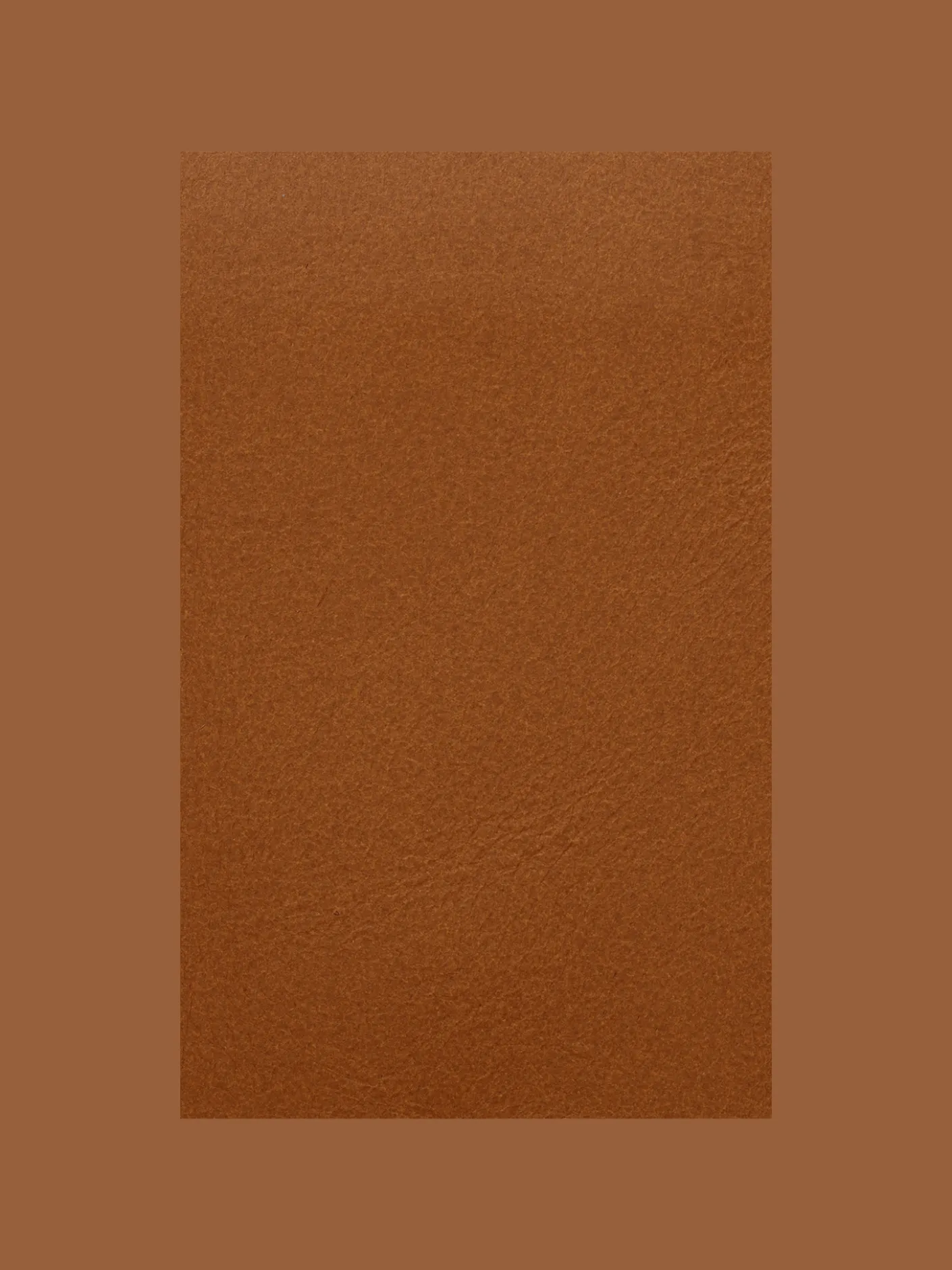 Fabric Sample - Leather - Envy
