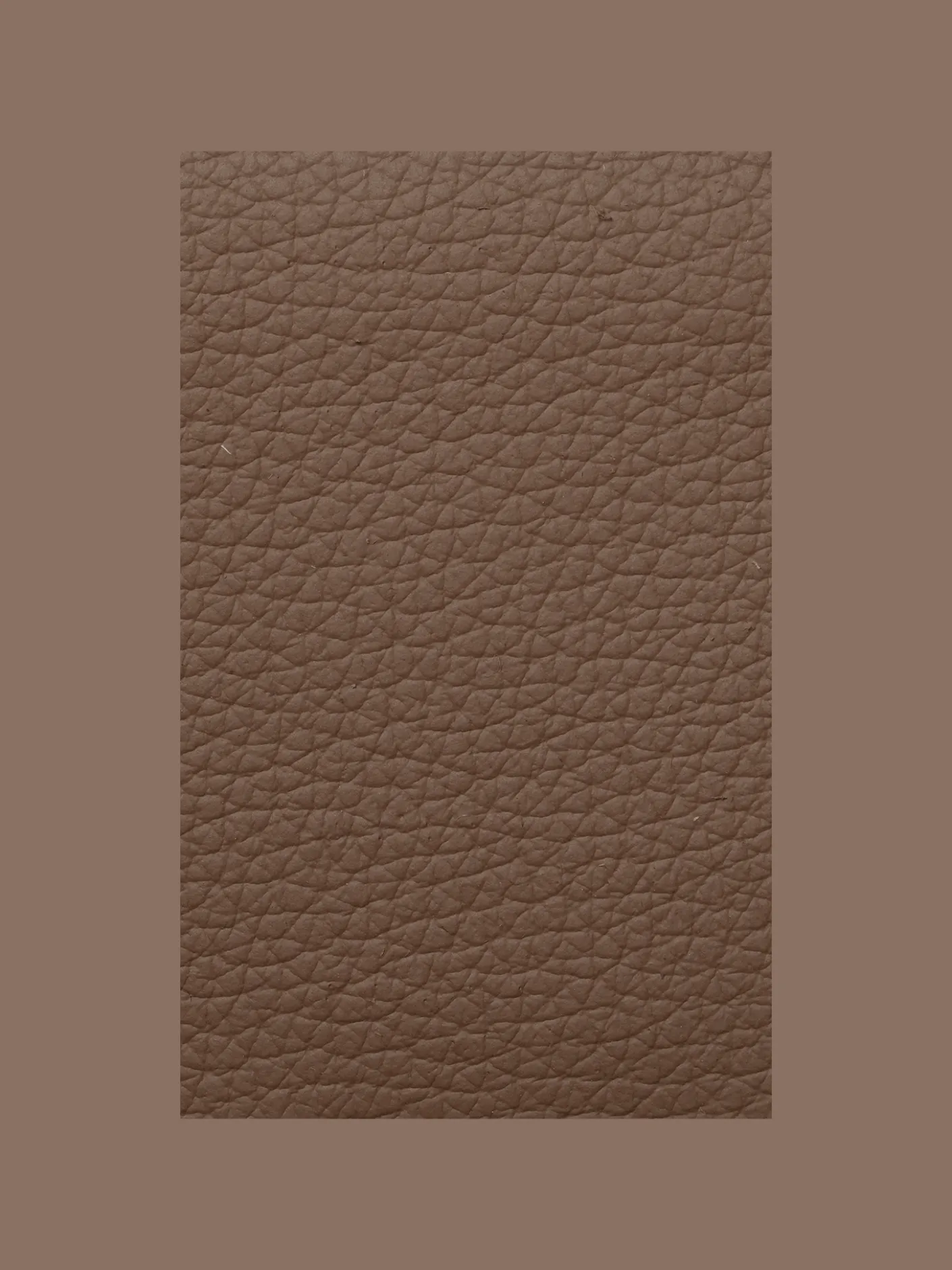 Fabric Sample - Leather - Ultra