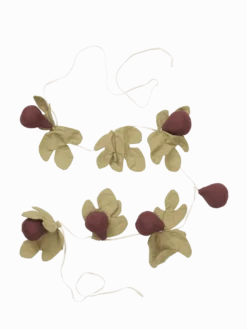 Figs Garland