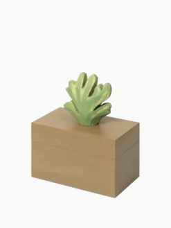 Harbour Box - Coral