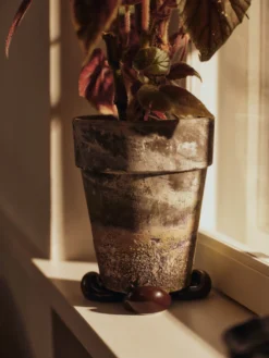 Nube Planter Feet - Set of 4
