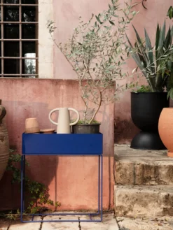 Plant Box