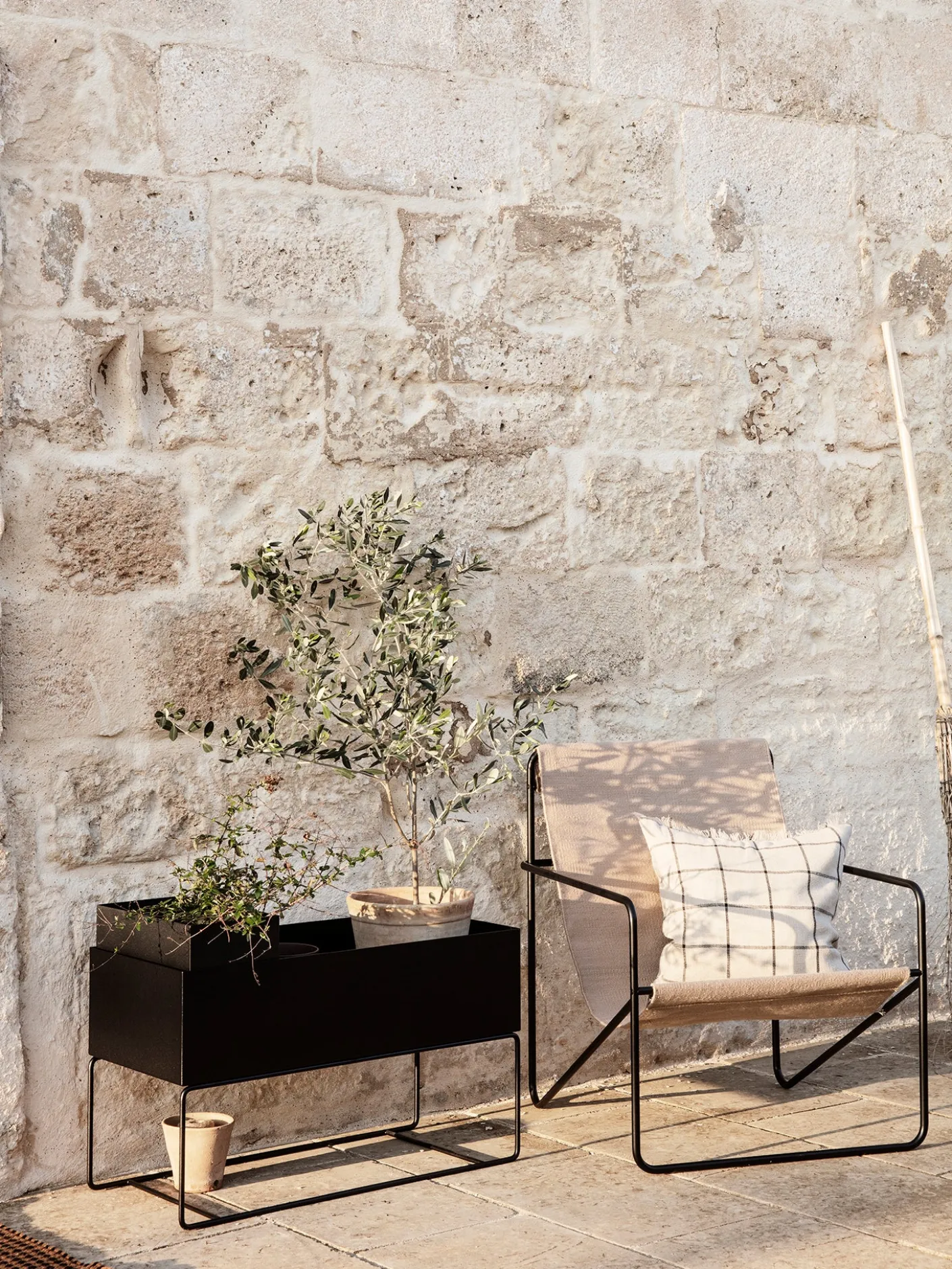 Plant Box - Large