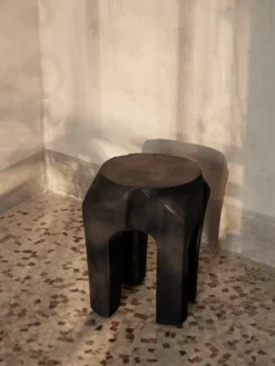 Root Stool
