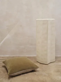 Senti Cushion