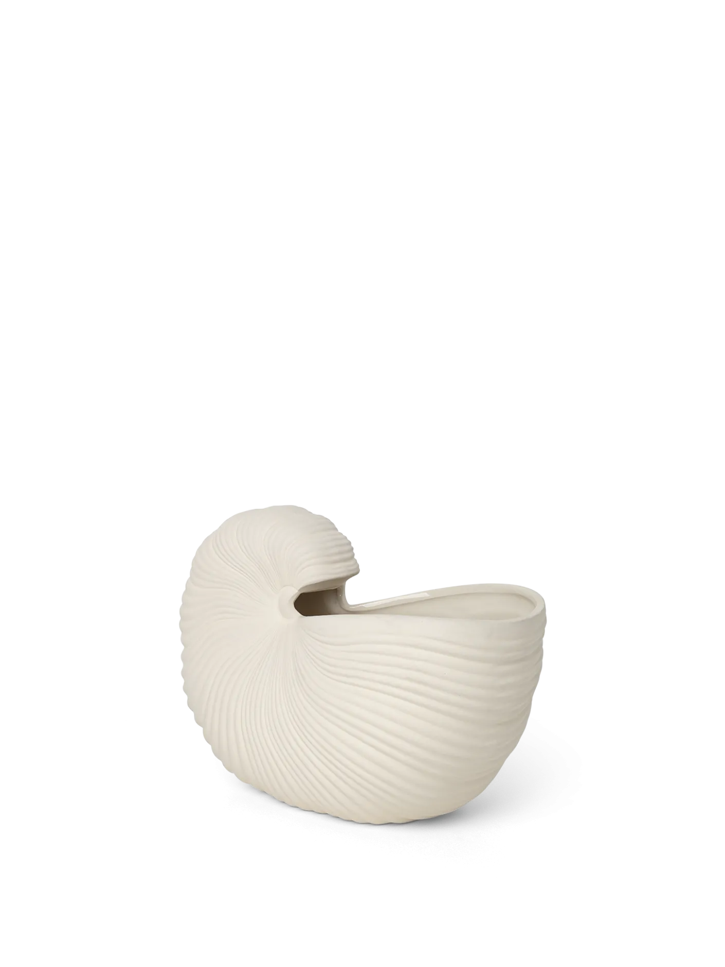 Shell Pot