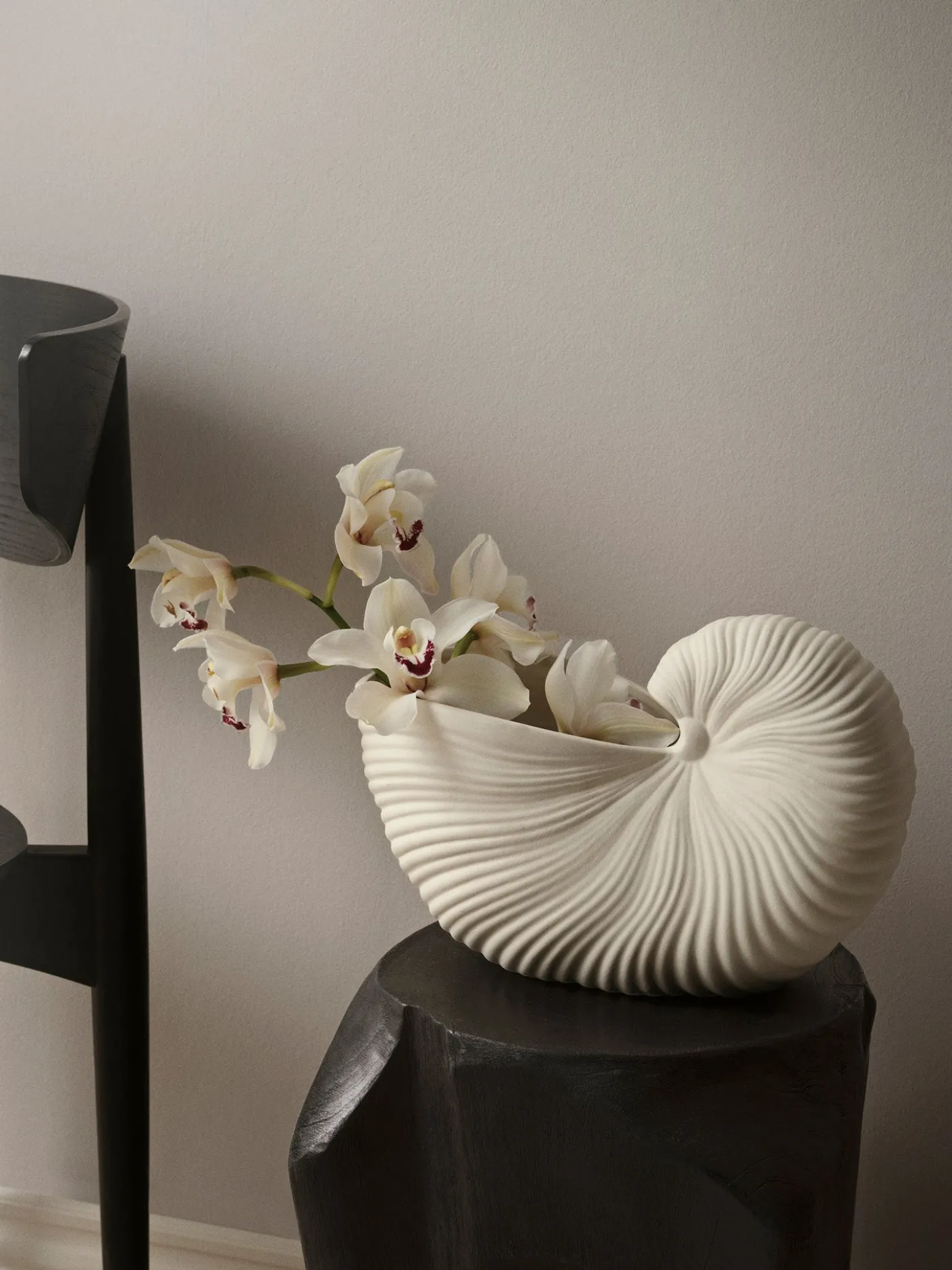 Shell Pot
