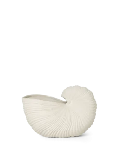 Shell Pot