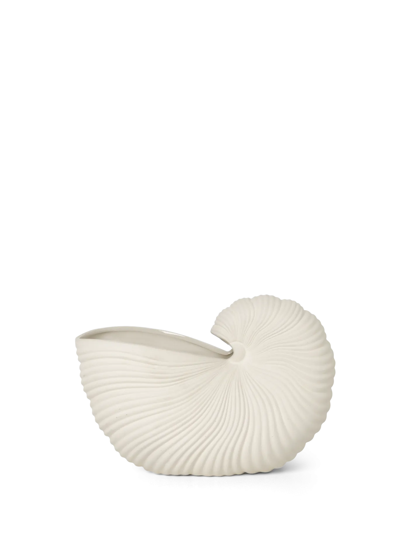 Shell Pot