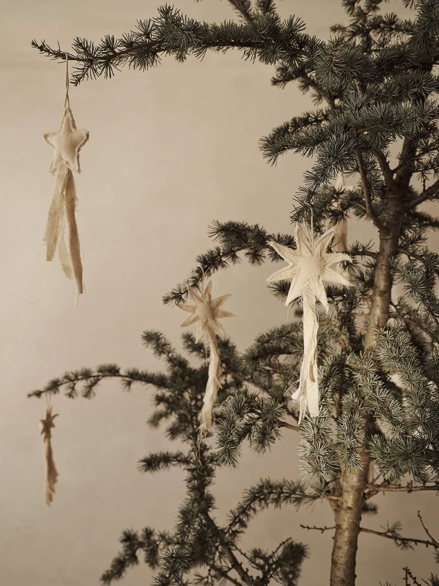 Vela Star Ornaments - Set of 4